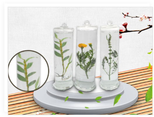 昆蟲分類標本_植物病害標本_生物顯微玻片_蝴蝶標本_新鄉(xiāng)市禾力教學(xué)設(shè)備有限公司